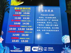-合肥海洋世界