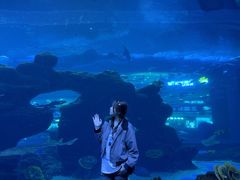 -成都浩海立方海洋公园