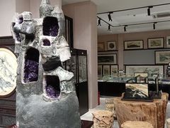 -游龙石文化科普馆