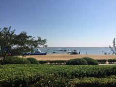 -碧海金沙