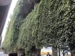 -杭州宋城