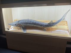 -中国湿地博物馆