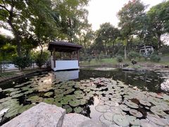 -深圳国际园林花卉博览园