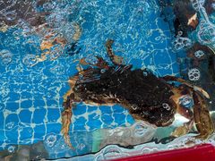 -洲晓鱻舟山海鲜(2号店)