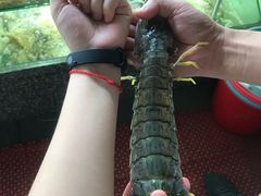 -凯华海鲜火锅·传承三十六年