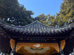 -梅园