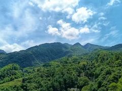 -石台牯牛降景区