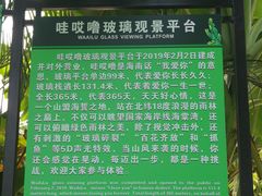 -呀诺达热带雨林