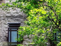 -西安凯悦酒店·湖畔中餐厅