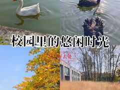 -杭州师范大学(下沙校区)