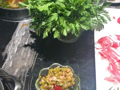 -东颖龙肥牛王(绵阳店)