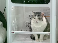 -爱洗澡的猫(望京店)