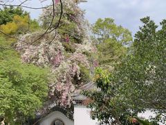 -深圳国际园林花卉博览园