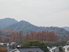 -杭州西湖风景名胜区-满觉陇四眼井