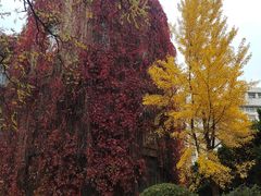 -辽宁大学(崇山校区)