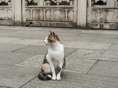 -西园戒幢律寺