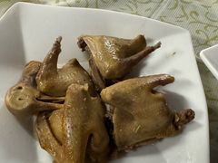 -百利鸽王(紫薇路店)