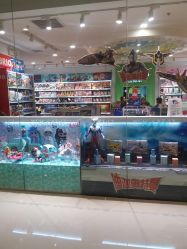 -KIDSLAND(恒隆广场店)