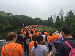 -尚贤河湿地