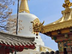 -护国法轮寺