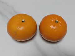 -上海大学(宝山校区)
