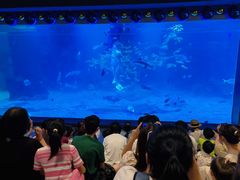 -石家庄海洋公园