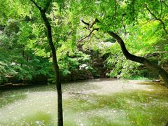 -虞山风景区