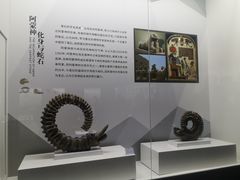 -贝壳王国博物馆
