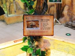 -未来动物城主题公园(正弘城店)