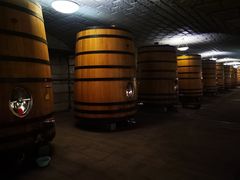 -紫轩葡萄酒庄园