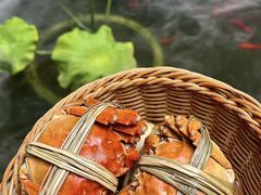 -蟹村草堂·苏式园林人文农家·大闸蟹