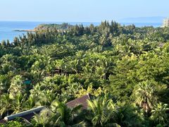 -海南清水湾莱佛士酒店