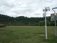 -飞凤山奥体公园