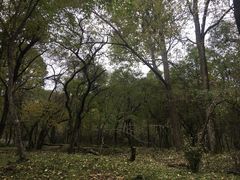-大水川景区