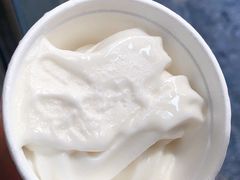椰子雪糕-洪馨椰子