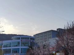 -青岛大学(金家岭校区)