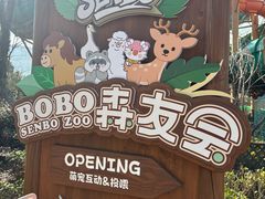 -杭州开元森泊度假乐园