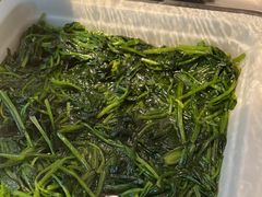 -虹桥机场国航贵宾室v8