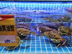 -大东海海鲜酒楼(渔人码头总店)