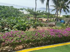 -三亚亚龙湾天域度假酒店