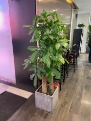 -崇尚GAVIN STYLE臻选