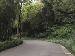 -广州雕塑公园