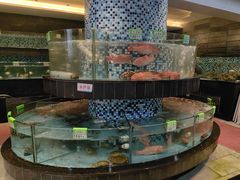 -鹏城人家海鲜酒家·23年老字号(较场尾店)