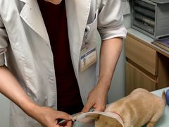 -宠福鑫康馨动物医院·骨科·眼科