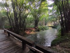 -中国天府农业博览园