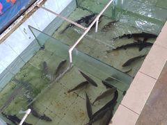 -佛都笑农庄(清溪店)