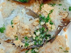 带子-盒马鲜生(曜一城店)