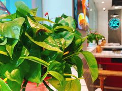 大堂-蛙一刀·麻椒鱼火锅(金仙桥店)