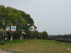 -新木器时代餐厅(太湖新天地店)