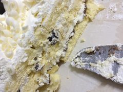 -BLACKSWAN黑天鹅(环球店)
